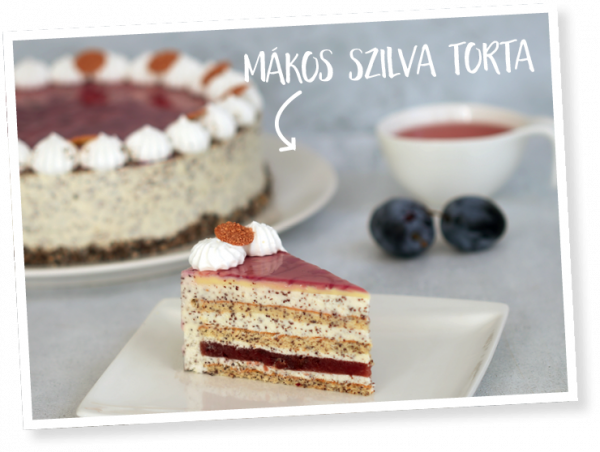 Hat 5-let cukr&aacute;szoknak_1662