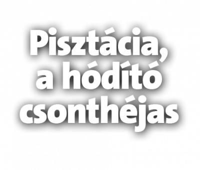 Piszt&aacute;cia_headline