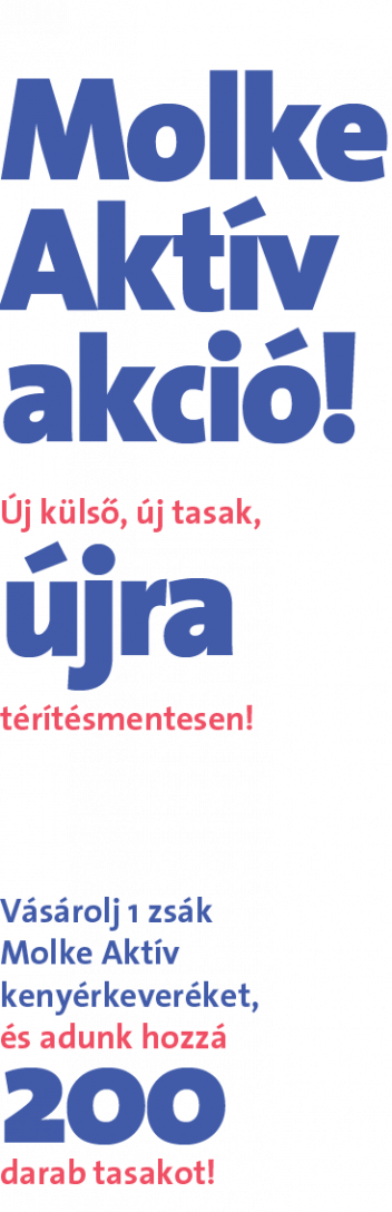 Panettone akci&oacute;_4297