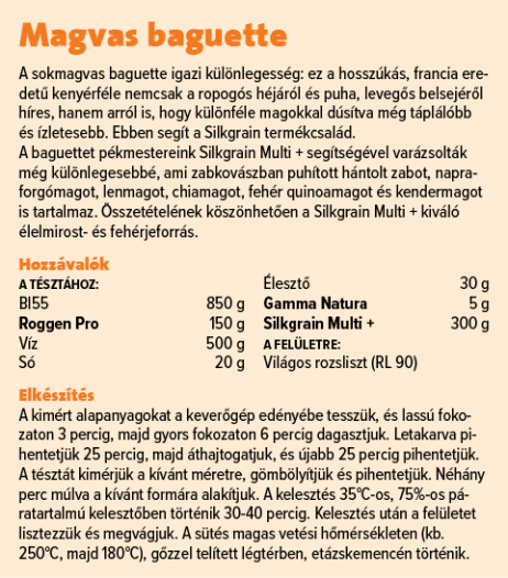 Magvas baguette_1271