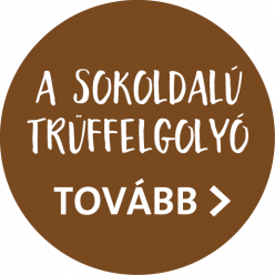 Zeelandia csokol&aacute;d&eacute; dekor&aacute;ci&oacute;k sub_329