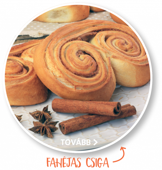 Csiga kavalk&aacute;d sub_1371