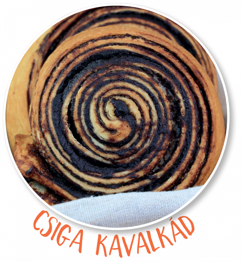 Csiga kavalk&aacute;d_2547