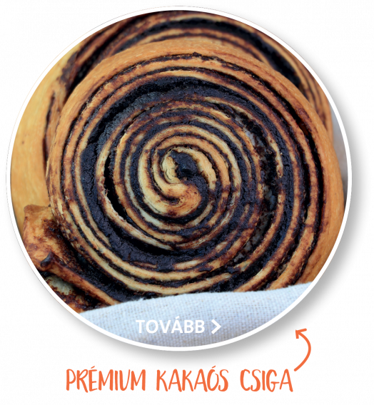 Csiga kavalk&aacute;d sub_1368