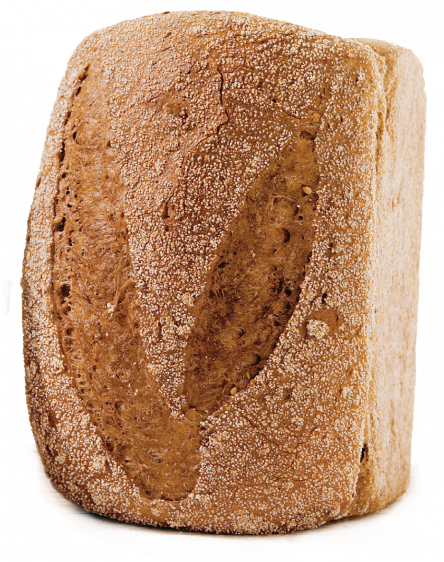 Panomix Vikorn D_3280