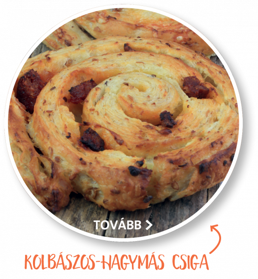 Csiga kavalk&aacute;d sub_1369