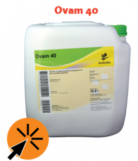 90 &eacute;ves a Carlo sub_480