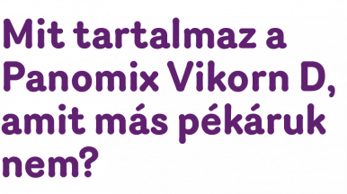 Eg&eacute;szs&eacute;gt&aacute;mogat&aacute;s a kemenc&eacute;ből_sub_3055