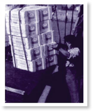 125 &eacute;ves_4819