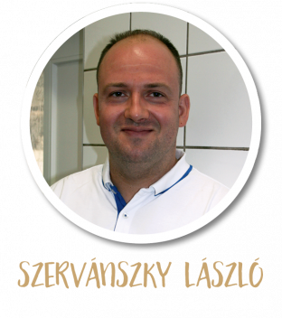 V&aacute;s&aacute;rl&oacute;inkat k&eacute;rdezt&uuml;k_268