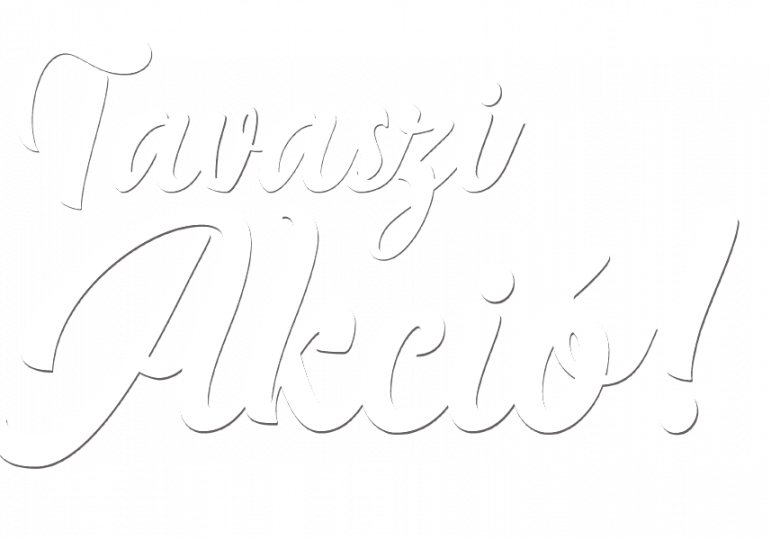 Tavaszi akci&oacute;_1371