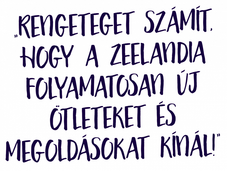 V&aacute;s&aacute;rl&oacute;inkat k&eacute;rdezt&uuml;k_2217