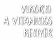 2020 tavasz&ndash;ny&aacute;r_2352